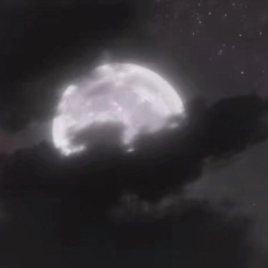 穿开档丝袜操逼逼
